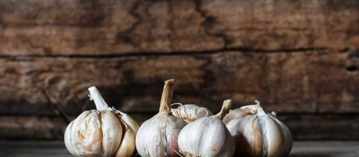 Για ποιο λόγο πρέπει να τρώτε σκόρδο; - Τα οφέλη στην υγεία παρά την ενοχλητική μυρωδιά